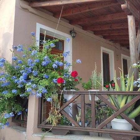 Plumbago Apartment Theologos  Zewnętrze zdjęcie